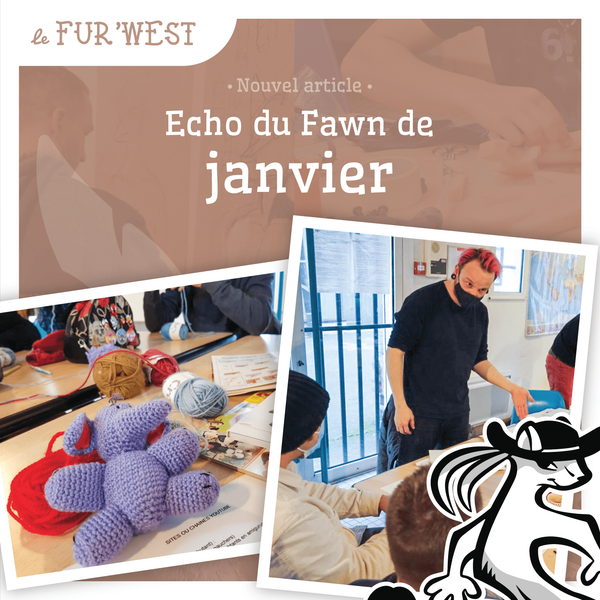 Écho du Fawn de Janvier