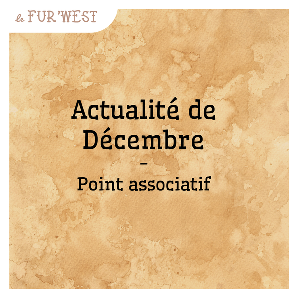 Actualités de Décembre