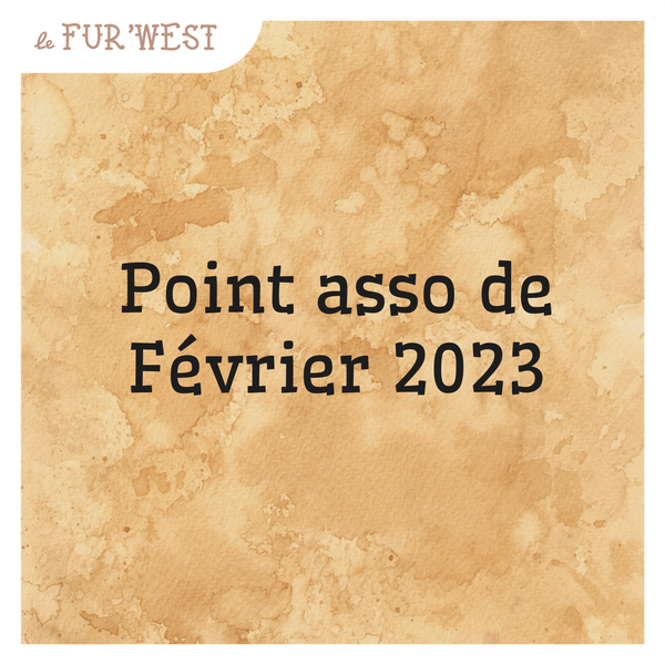 Point asso de Février 2023